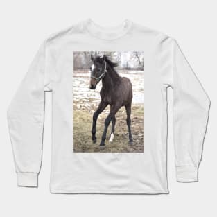 TB COLT Long Sleeve T-Shirt